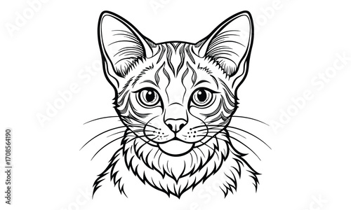 Smokey Cat, kids line art doodle pattern design t shirt design silhouette and vector, detailed illustration, perfect for relaxation, stress relief, adult coloring books, printable art therapy.