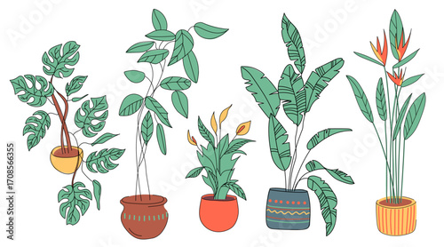 Set of tropical houseplants. Bird of paradise, banana palm, ficus, monstera and peace lily isolated on white background. Vector illustrations in flat style drawn by hand.