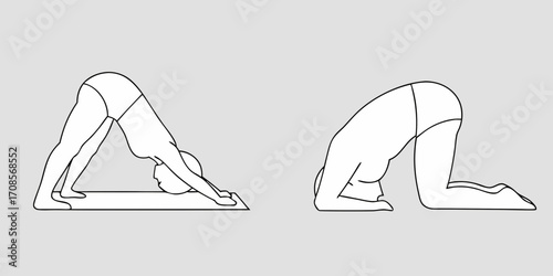 Line art illustration of a person performing downward facing dog and child s pose yoga asanas