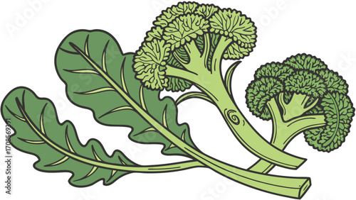 Fresh green broccoli and leafy greens vegetables illustration for healthy eating and nutrition guide