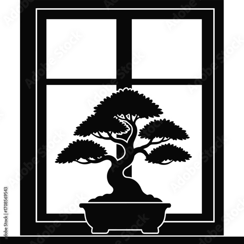 Silhouette of a bonsai tree in a pot viewed through a window frame plant