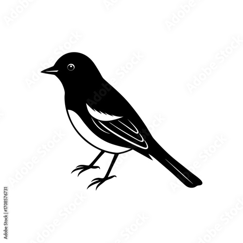 Philadelphia Vireo Bird Artwork