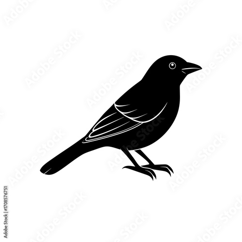 Thick Billed Vireo Bird Vector