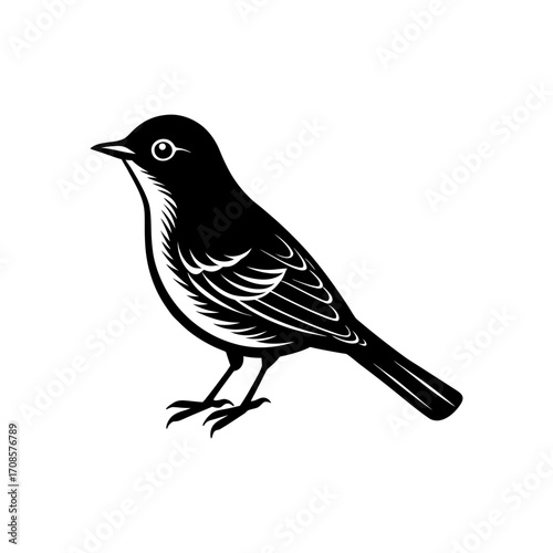 Western Tanager Bird Artwork