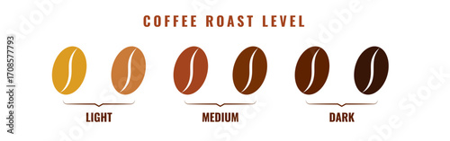 Coffee roast level icons set. Brown coffee bean symbols in different roasting stages. Vector graphics for cafe menu, packaging, and branding design.