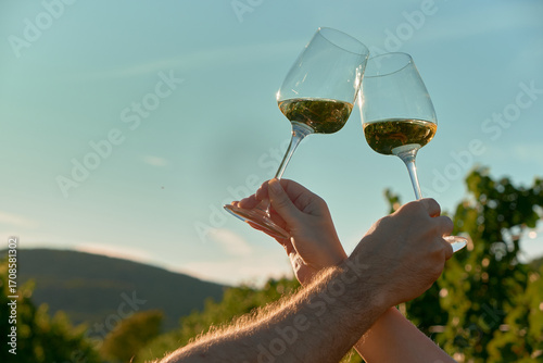 Horizontal photo of male and female hands crossed while clinking white wine glasses above vineyard rows under clear blue sky. Warm sunlight creates romantic, cozy, and atmospheric outdoor wine moment.