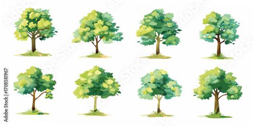 Collection of eight diverse green deciduous trees with brown trunks and grassy bases on a white background