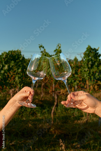 Vertical photo of male and female hands holding two empty wine glasses side by side, touching gently above vineyard rows under clear blue sky. Warm sunlight creates cozy, romantic, and intimate outdoo