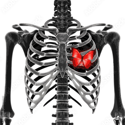 Anatomical human skeleton illustration in grayscale with highlighted red heart area representing cardiac health and medical themes