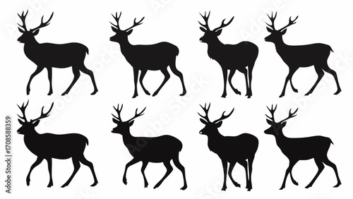 Silhouette of Deer Walking