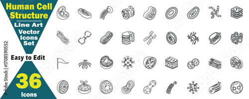 Human Cell Structure Line Art Vector Icons Set 36 Icons Easy to Edit biology science