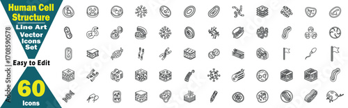 Human Cell Structure Line Art Vector Icons Set. 60 Icons Easy to Edit biology science concept. 
