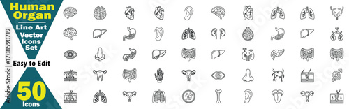 Human Organ Line Art Vector Icons Set. 50 Icons Easy to Edit anatomy body illustration. 