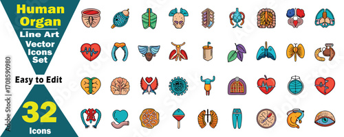 Human Organ Line Art Vector Icons Set. 32 Easy to Edit Illustrations anatomy medical concept. 