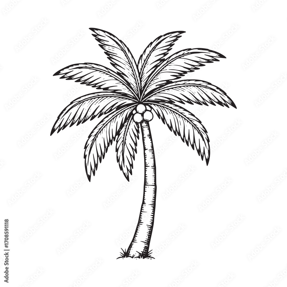 Fototapeta premium Palm Tree Silhouette Icon