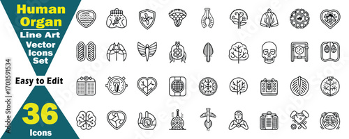 Human Organ Line Art Vector Icons Set. 36 Easy to Edit Black and White Illustrations