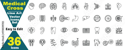 Medical Cross Line Art Vector Icons Set. 36 Health Illustrations illustration