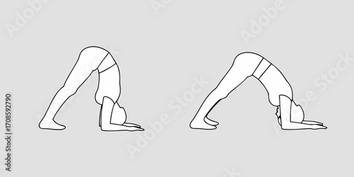 Line art illustration of two women performing downward facing dog yoga pose side by side