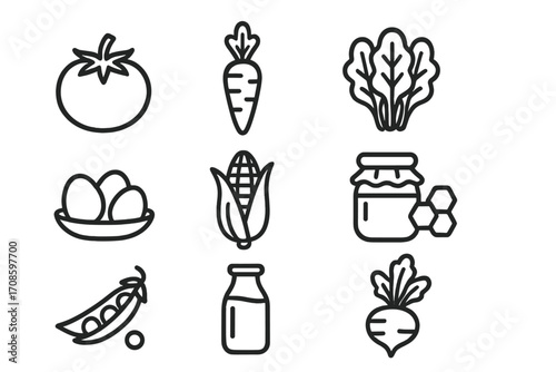 Farm-to-Table Line Icons. Line style icons of farm-to-table ingredients: fresh tomato, organic carrot, leafy greens, farm eggs,