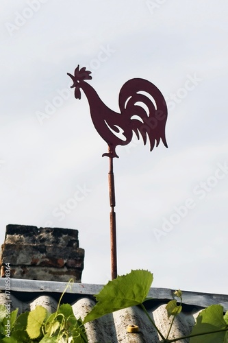 rooster on the roof of the house