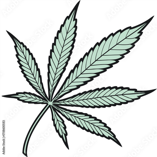 Single cannabis leaf with detailed veins on a white background Keywords: cannabis, marijuana, leaf, hemp, plant, botanical, medical, legal
