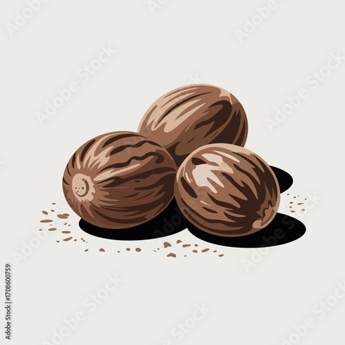 Whole Nutmeg Vector Illustration