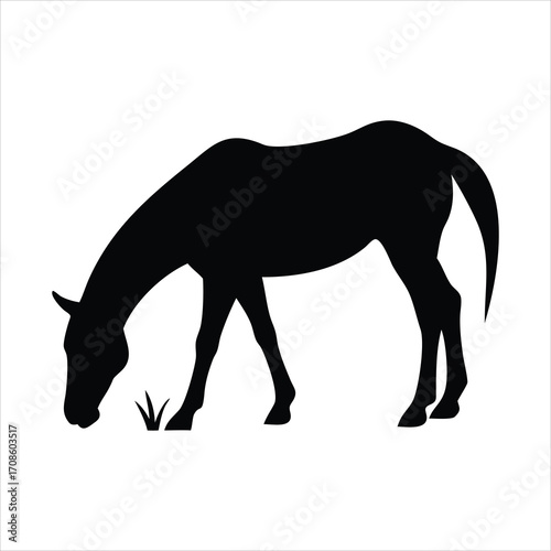 Black silhouette of a horse grazing on grass against a white background