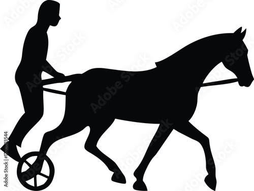 Silhouette of a person driving a horse and chariot