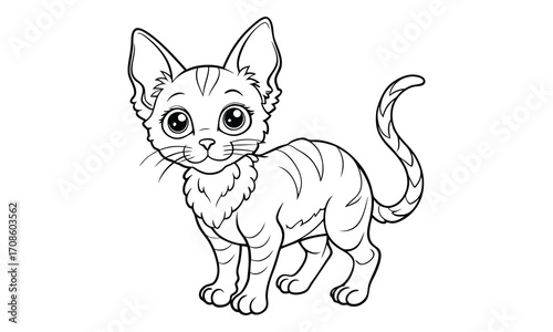 Nimbus Cat, kids line art doodle pattern design t shirt design silhouette and vector, detailed illustration, perfect for relaxation, stress relief, adult coloring books, printable art therapy.