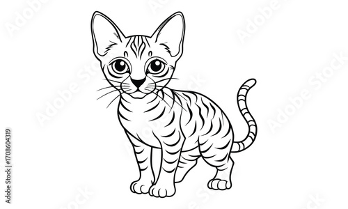 Nimbus Cat, kids line art doodle pattern design t shirt design silhouette and vector, detailed illustration, perfect for relaxation, stress relief, adult coloring books, printable art therapy.