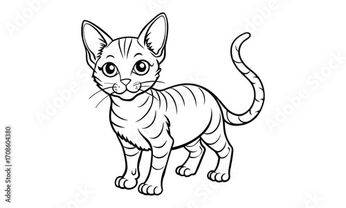 Nimbus Cat, kids line art doodle pattern design t shirt design silhouette and vector, detailed illustration, perfect for relaxation, stress relief, adult coloring books, printable art therapy.