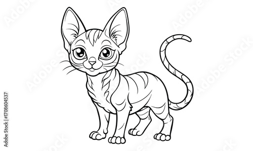 Nimbus Cat, kids line art doodle pattern design t shirt design silhouette and vector, detailed illustration, perfect for relaxation, stress relief, adult coloring books, printable art therapy.