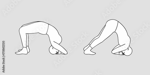 Line art illustration of a person performing two yoga poses a bridge pose and a headstand variation