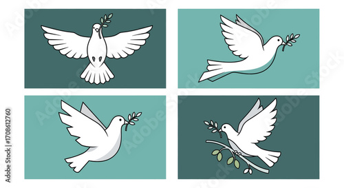 Set of four vector illustrations of a white peace dove.