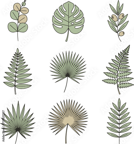 Collection of nine stylized botanical leaf illustrations isolated on white background