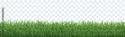Green Grass Border Isolated Transparent Background