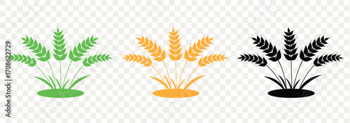 Wheat ears icon vector, agriculture wheat vector icon. Ear of Wheat, Barley or Rye. Vector icon isolated on white background. eps 10