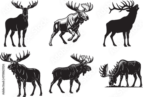 Moose and Elk Silhouette Vector Pack – 6 Unique Wildlife Poses