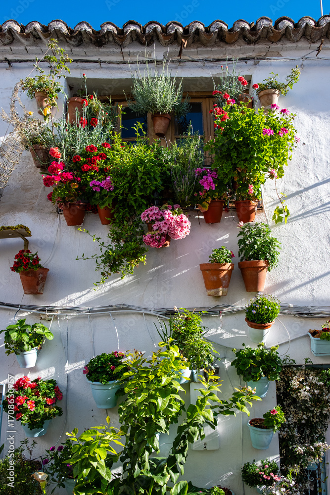 Naklejka premium Spanien, Blumenschmuck