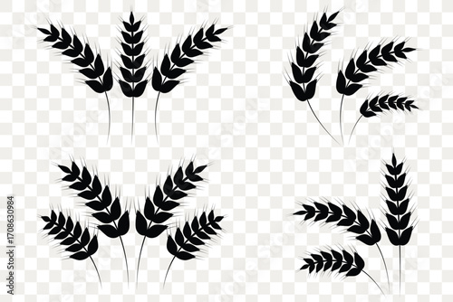 Farm wheat ears icon set. Durum wheat pasta label.  Organic wheat grain icon. Stylized black icons of wheat for print, product packaging, and agricultural business branding. Wheat silhouette. eps 10.