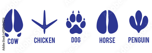Set of animals footprint. Hand drawn various animal feet paws or footprints isolated on white background. Black silhouettes collection of animal tracks in minimal style. various animal footprints. eps