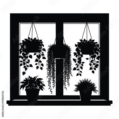 Black silhouette of hanging and potted plants on a windowsill in a window frame white