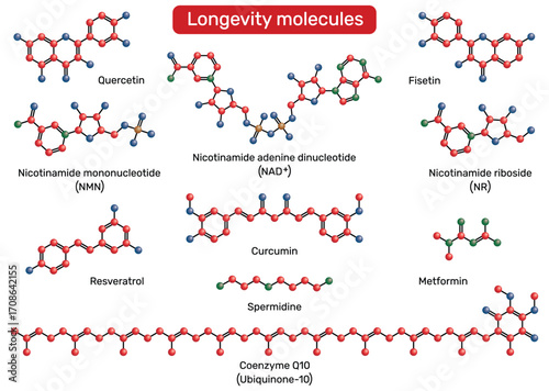 Longevity molecules. NAD+, nicotinamide mononucleotide (NMN), nicotinamide riboside (NR), spermidine, resveratrol, fisetin, quercetin, metformin, coenzyme Q10, curcumin
