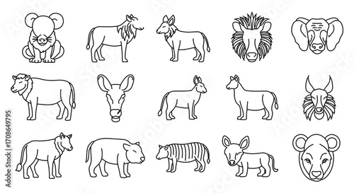 Various animal species in line art style, including mammals and exotic creatures