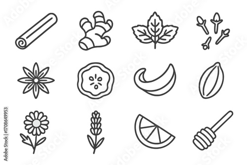 Tea Flavor Icons. Line style icons of tea flavors and herbs: cinnamon stick, ginger root, mint sprig, clove cluster; star anise,