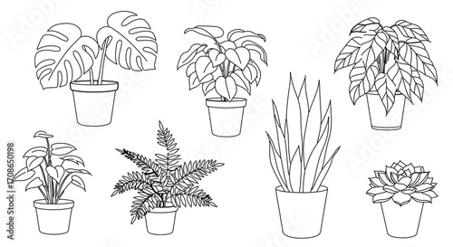 Collection of seven different potted house plants in line art style