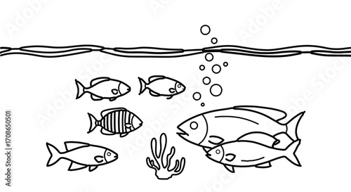 Illustration of fish swimming underwater, a marine life scene with bubbles
