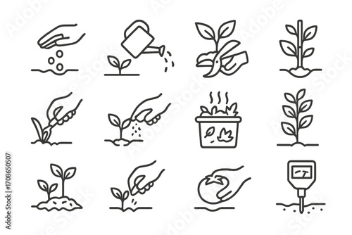 Gardening Icons Collection. Line style icons of gardening steps: sowing seeds, watering plant, pruning leaves, transplanting;