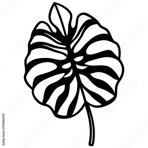 Vector illustration of a single monstera tropical leaf, green flat design, clean cutout, white background
