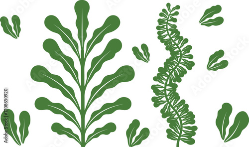 Green seaweed kelp forest ocean plant vector design editable stock